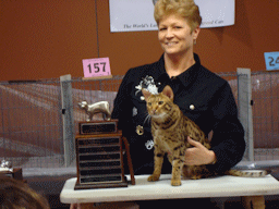Elizabeth Hodgkins with Ocicat, winner of Becky Cotter Highest scoring cat in Premiership trophy