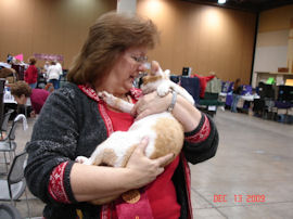 Devon Rex on the way to the ring