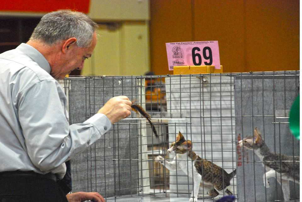 Gary Powell and Orientals - Cable