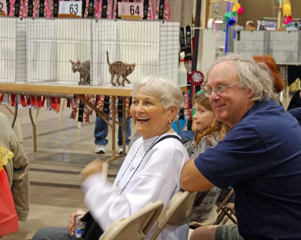 Watching kitten judging - Cable