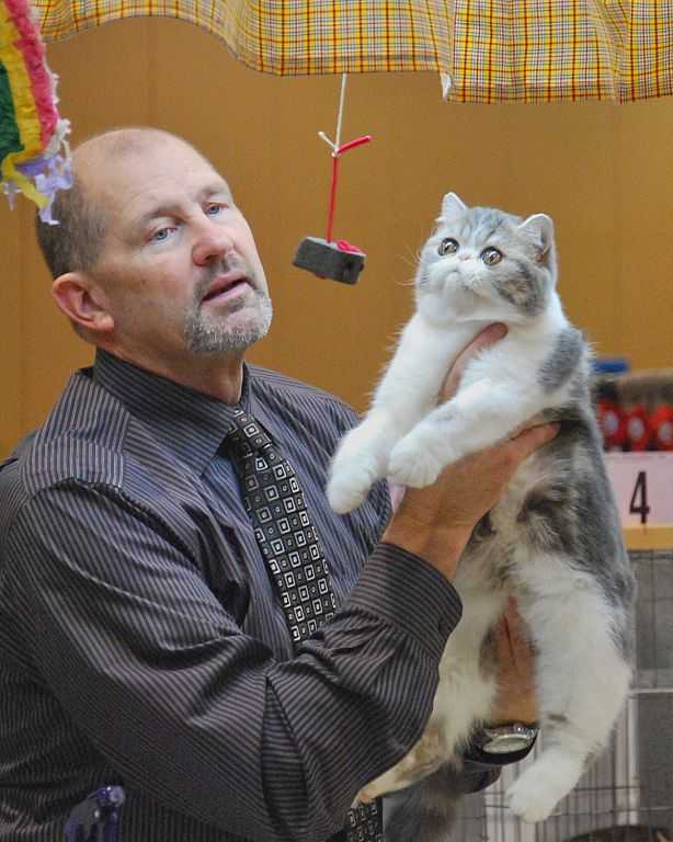 John Webster and Exotic - Cable