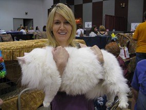 Photo from the 2012 cat show