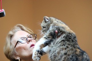 Photo from the 2012 cat show