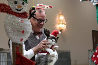 Photo from the 2012 cat show