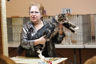 Photo from the 2012 cat show