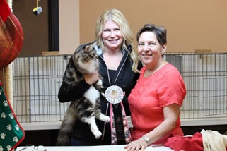 Photo from the 2012 cat show