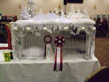 second best decorated cage