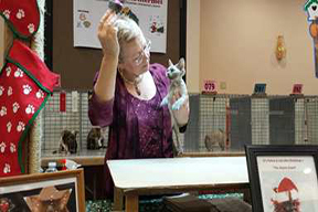 Diana Rothermel judging