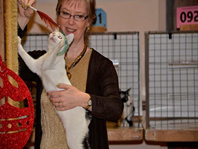 Fun on the judging table with Tracy Petty