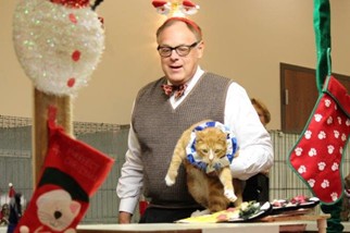 Photo from the 2012 cat show